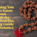 Rudraksha Types, Significance