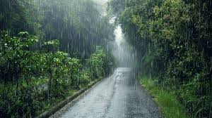 Coorg in Monsoon