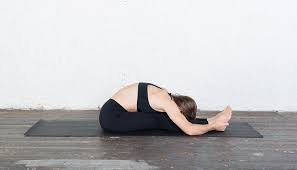 Paschimottanasana (Seated Forward Bend)