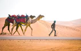 Jaipur to Jaisalmer Road Trip