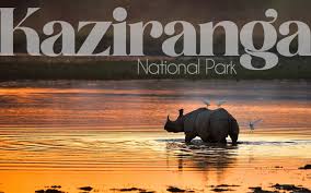 Kaziranga National Park – Assam