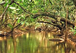 Kuruvadweep, Kerala