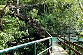 Thenmala, Kerala