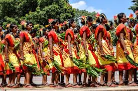 Karma Dance – Tribal Pulse of Central India