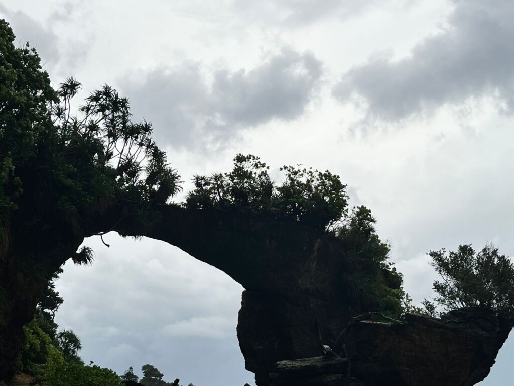 Natural Bridge in Neil Island Andaman and Nicobar