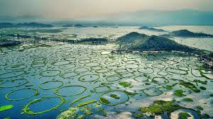 Floating National Park - Loktak Lake