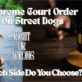 Supreme Court Street Dogs Verdict