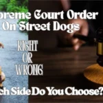 Supreme Court Street Dogs Verdict