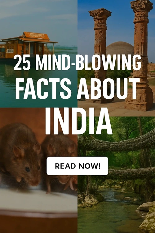 Surprising Facts About India