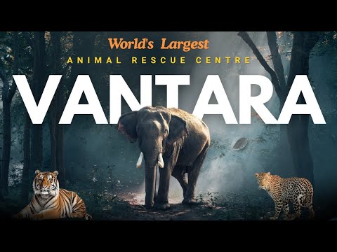 Vantara - World's Largest Wildlife Rescue Centre