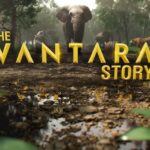 Vantara - The World's Largest Widlife Rescue Centre