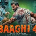 Baaghi 4 Movie